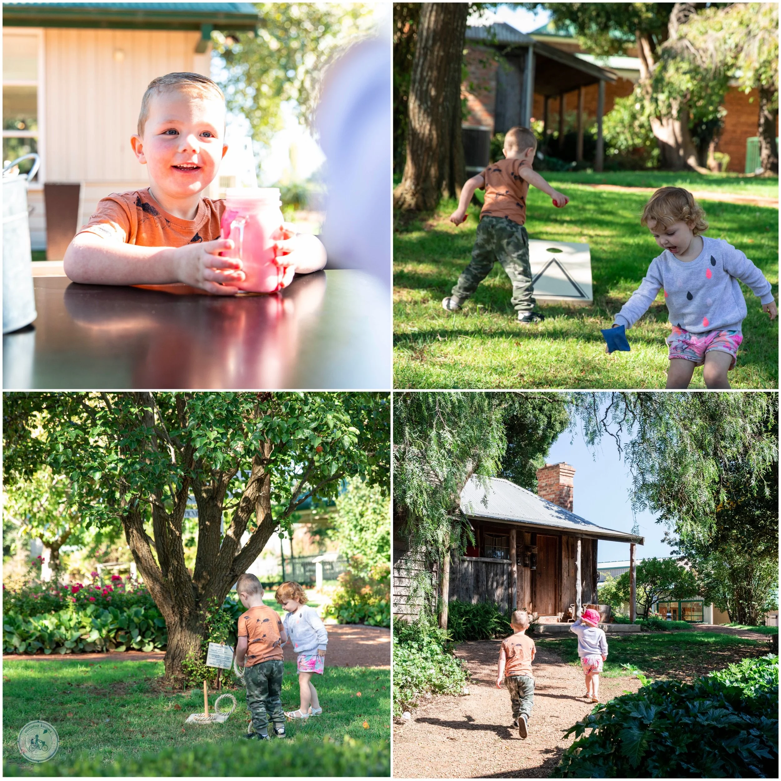 two peas in their pod mont de lancey, wandin north — mamma knows east