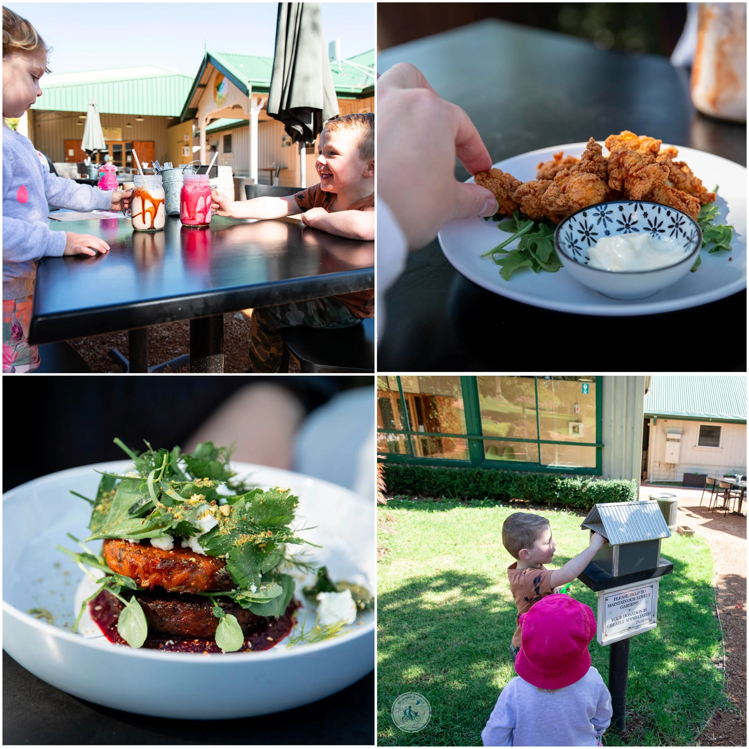 two peas in their pod mont de lancey, wandin north — mamma knows east