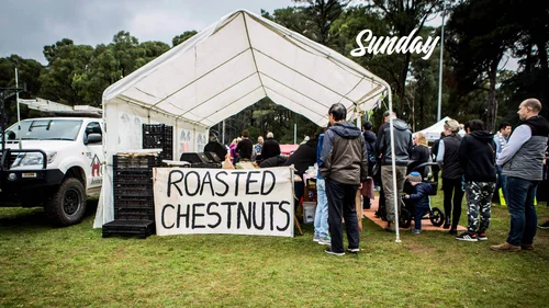 chestnut festival
