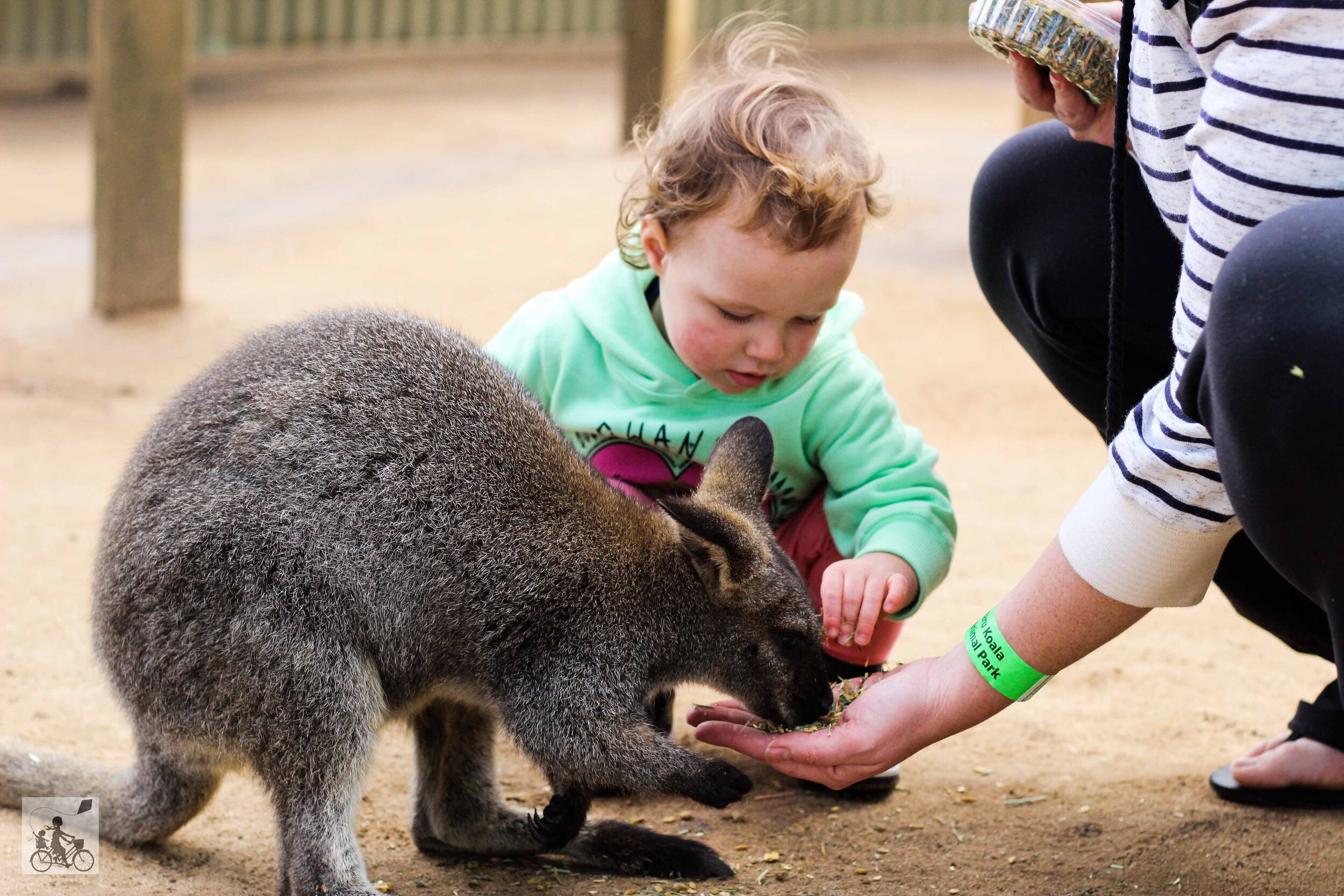 Maru Koala and Animal Park, Grantville