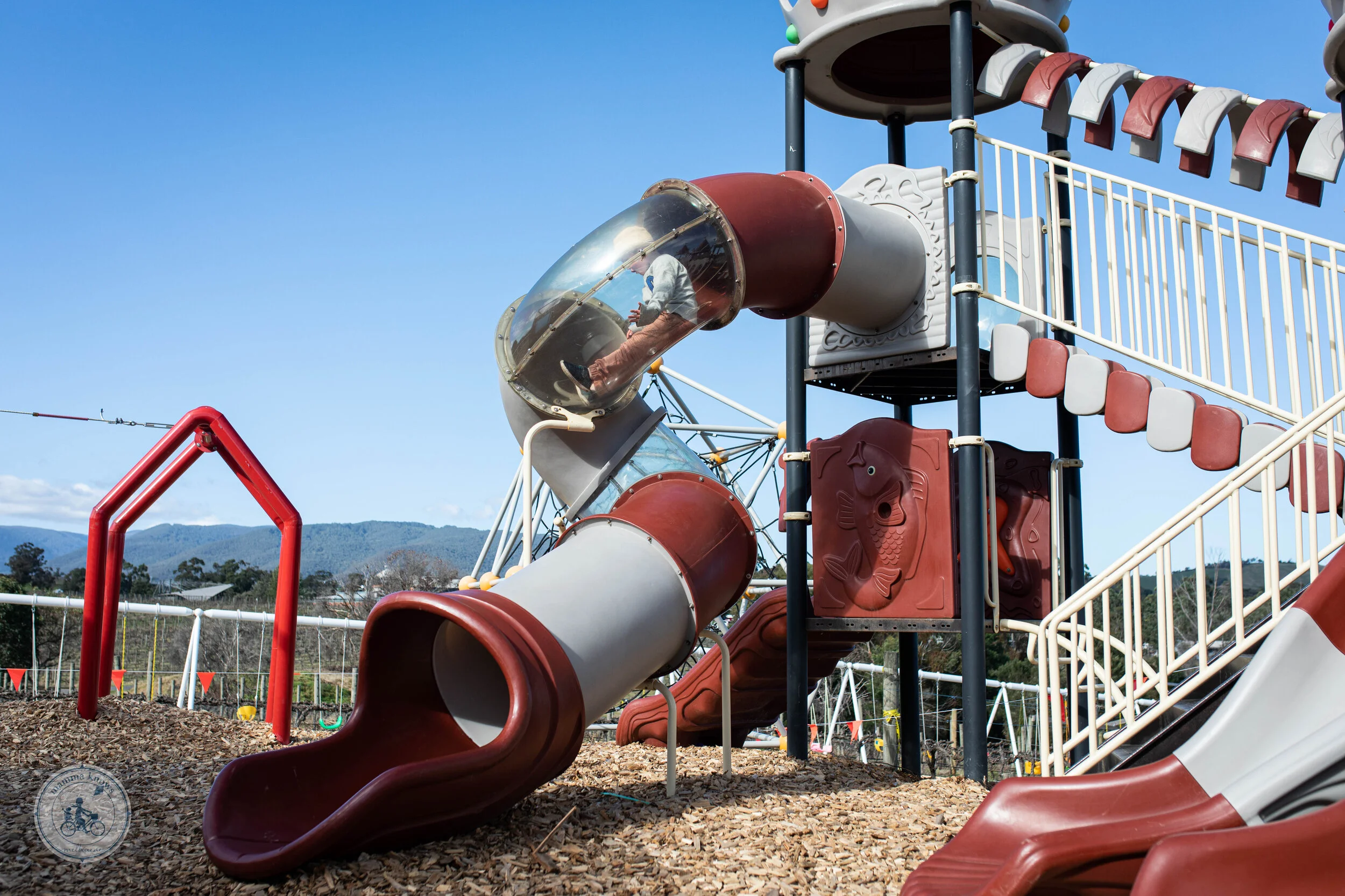 Badgers Brook Winery, Coldstream — mamma knows east