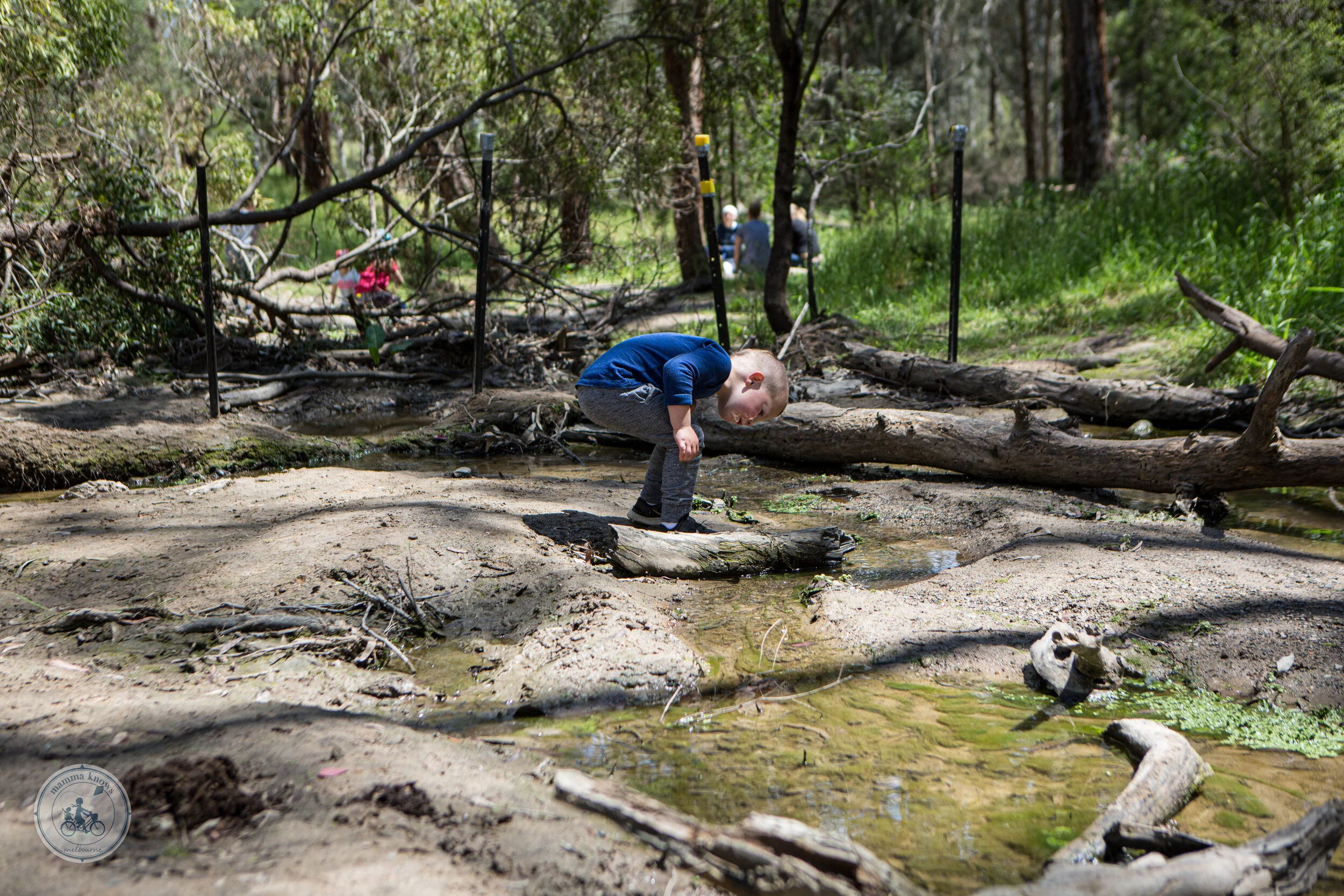 Currawong Bush Park, Donvale - Mamma Knows East Copyright (6 of 7).jpg