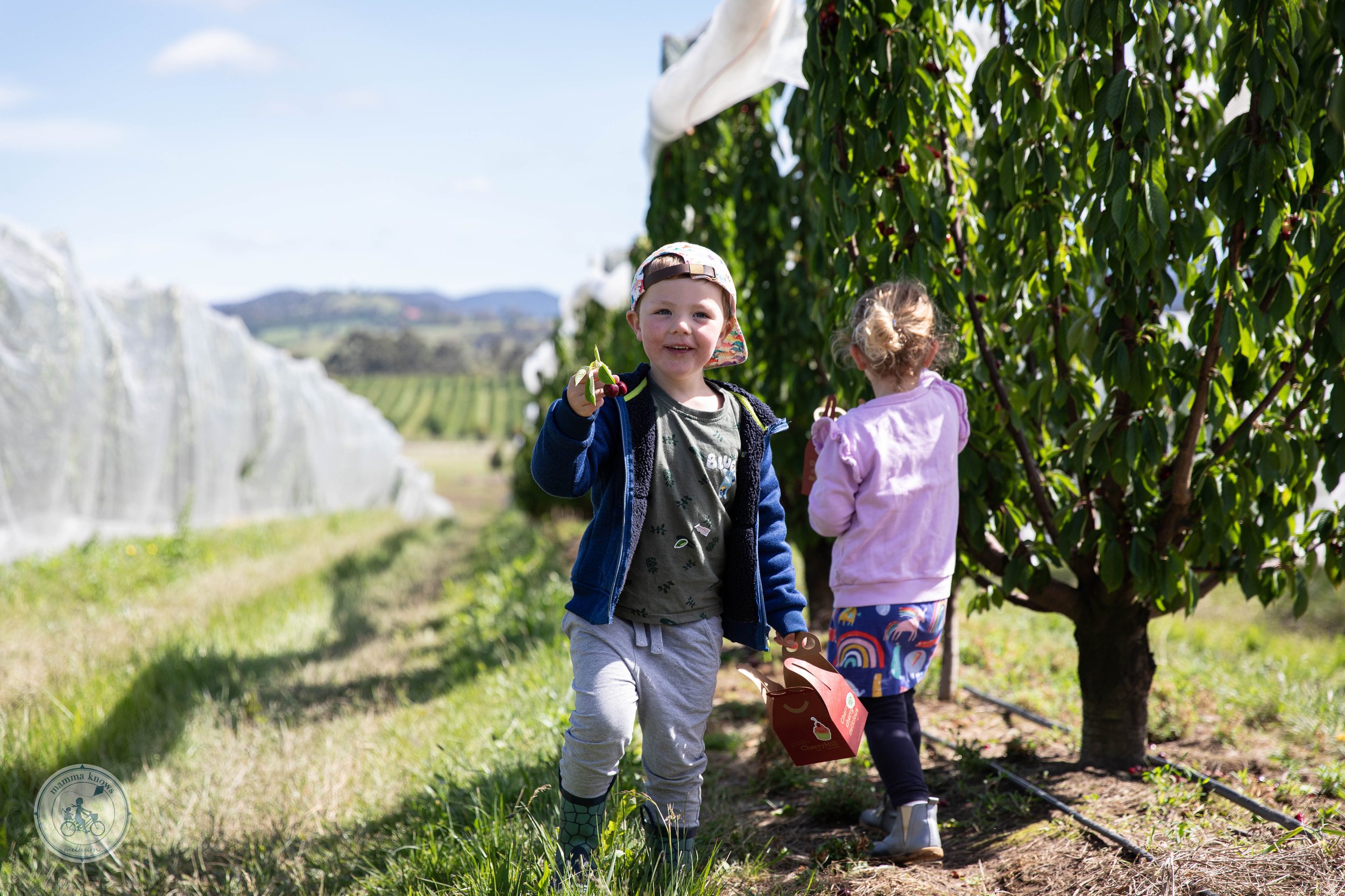 Cherryhill Orchards, Coldstream NEW