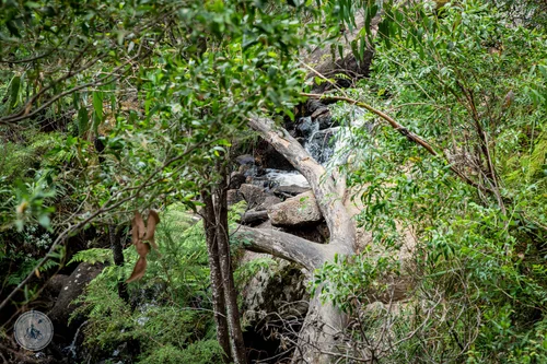 shiprock falls and picnic grounds