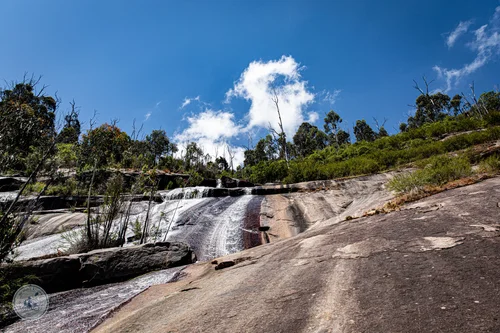 murrindindi scenic reserve and wilhelmina falls