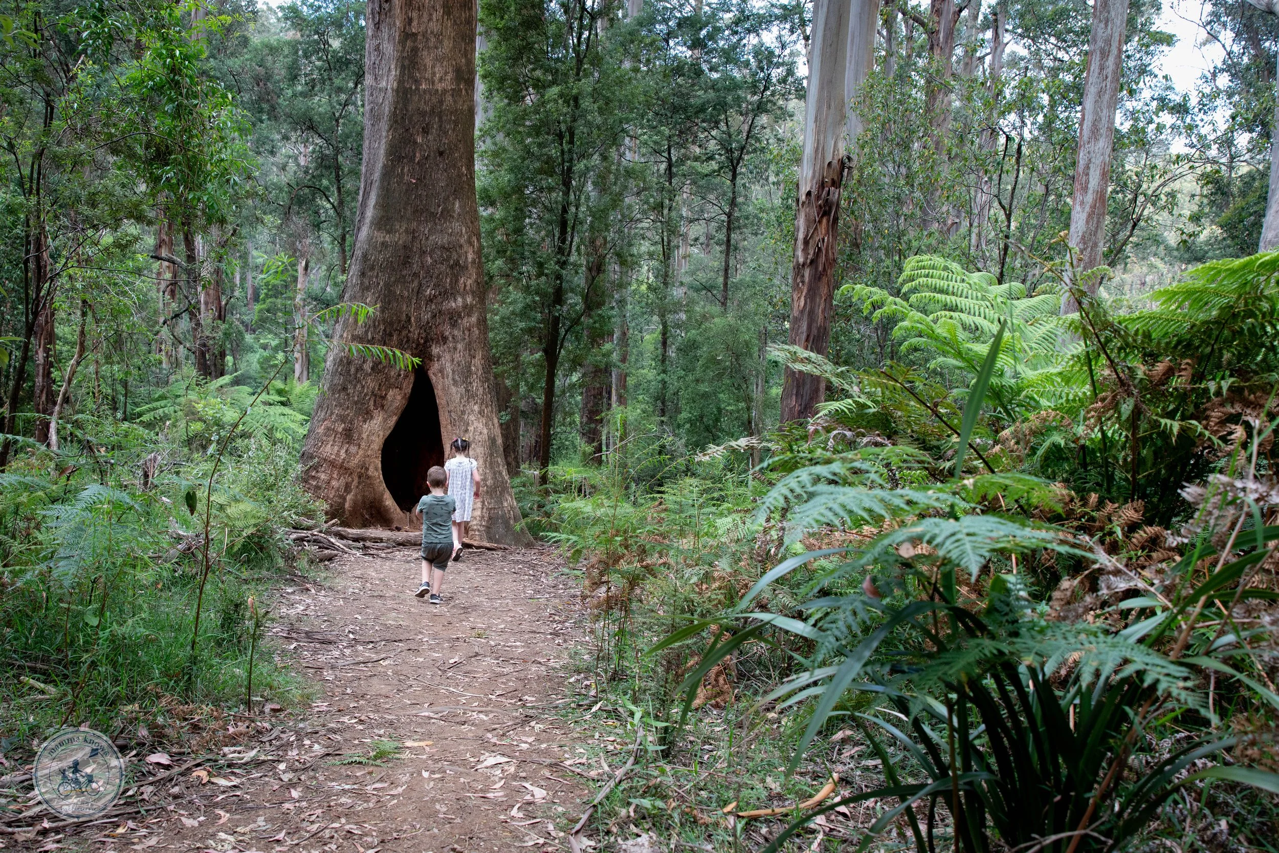 Grants Picnic Ground, Sherbrooke — mamma knows east Grants Picnic Ground, Sherbrooke — mamma knows east