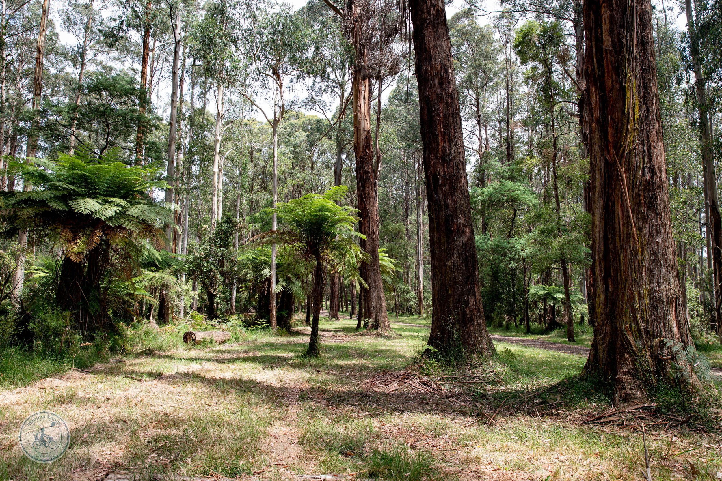 Grants Picnic Ground, Sherbrooke — mamma knows east