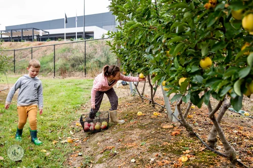 pick your own orchard tours @ montague orchard