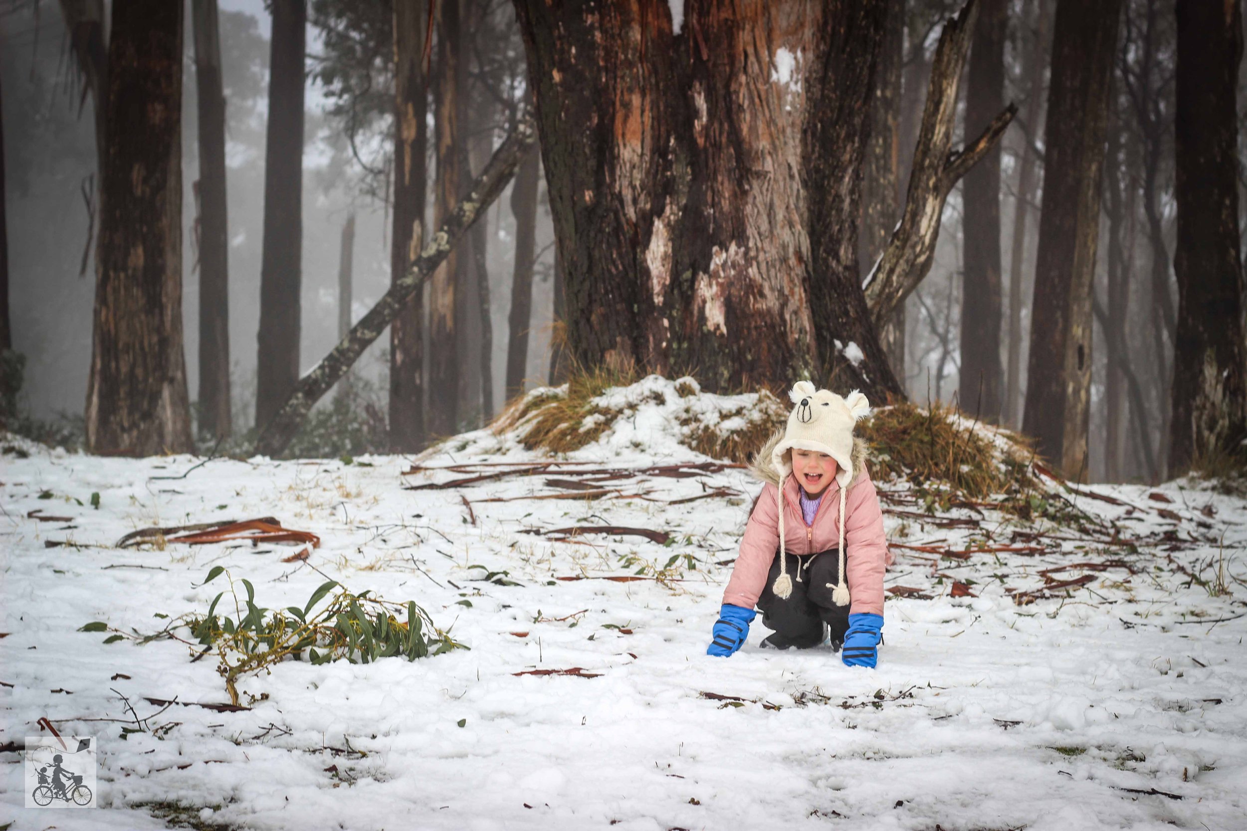 Mt Donna Buang