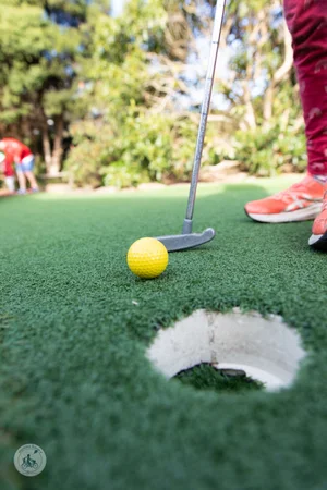 wetlands adventure minigolf