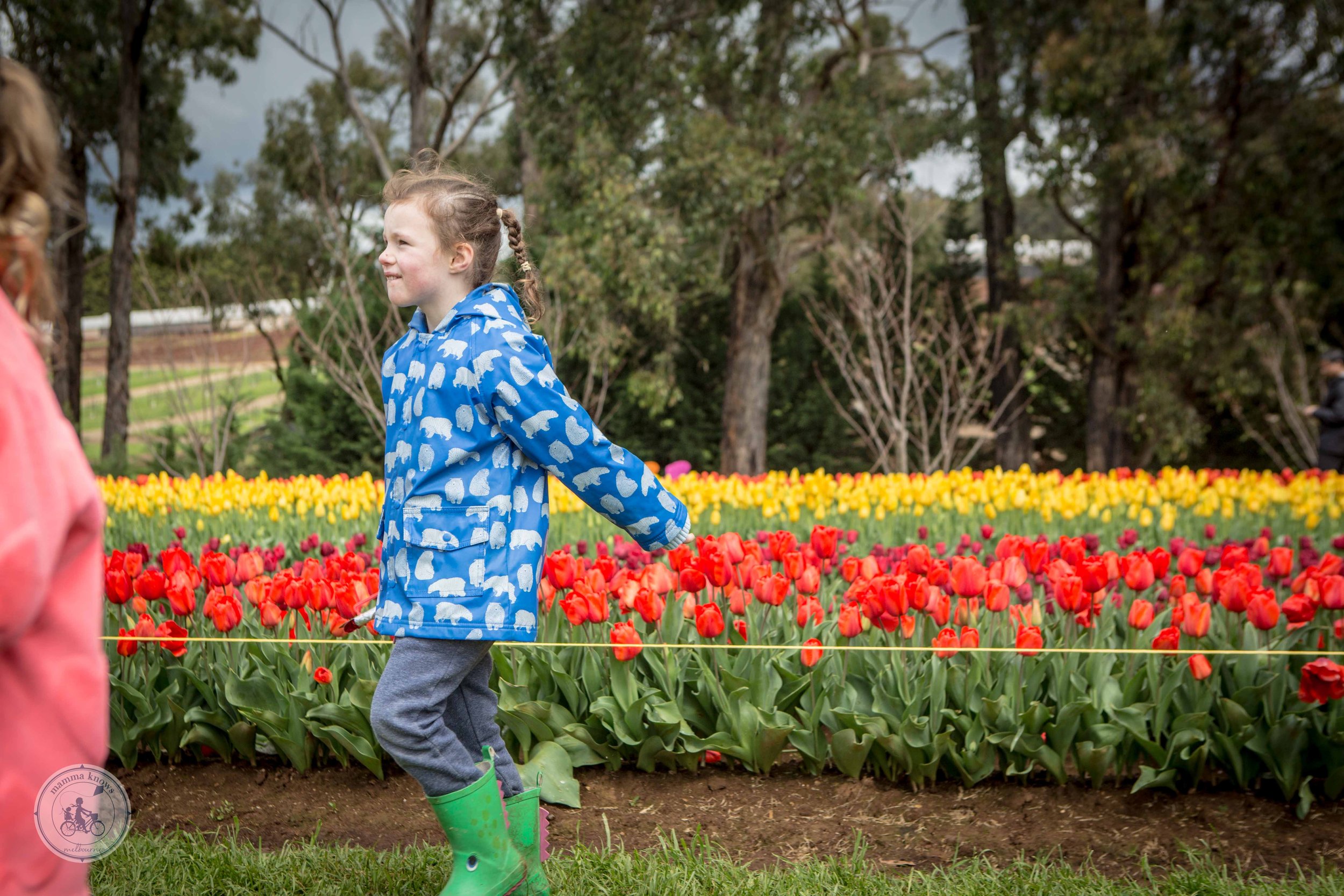 Tesselaar Tulip Festival