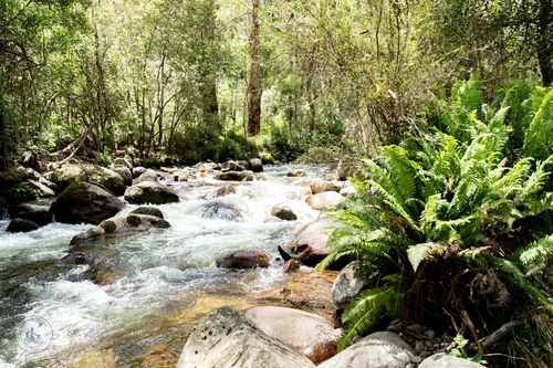 doongalla picnic ground