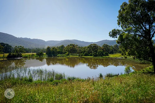 liverpool road retarding basin