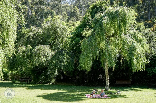 doongalla picnic ground