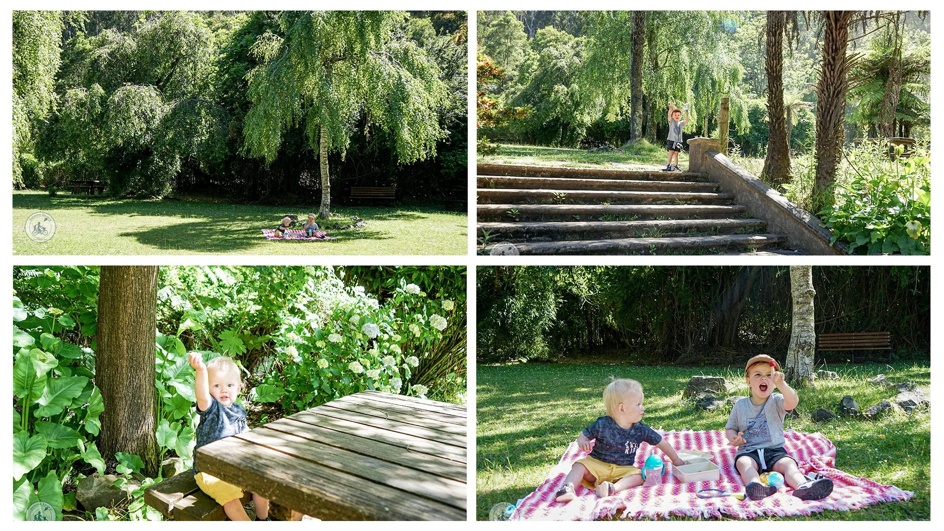 doongalla picnic ground, the basin