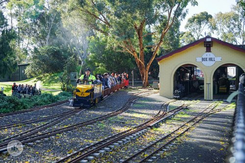 box hill miniature steam railway