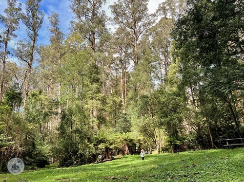 beagleys picnic ground