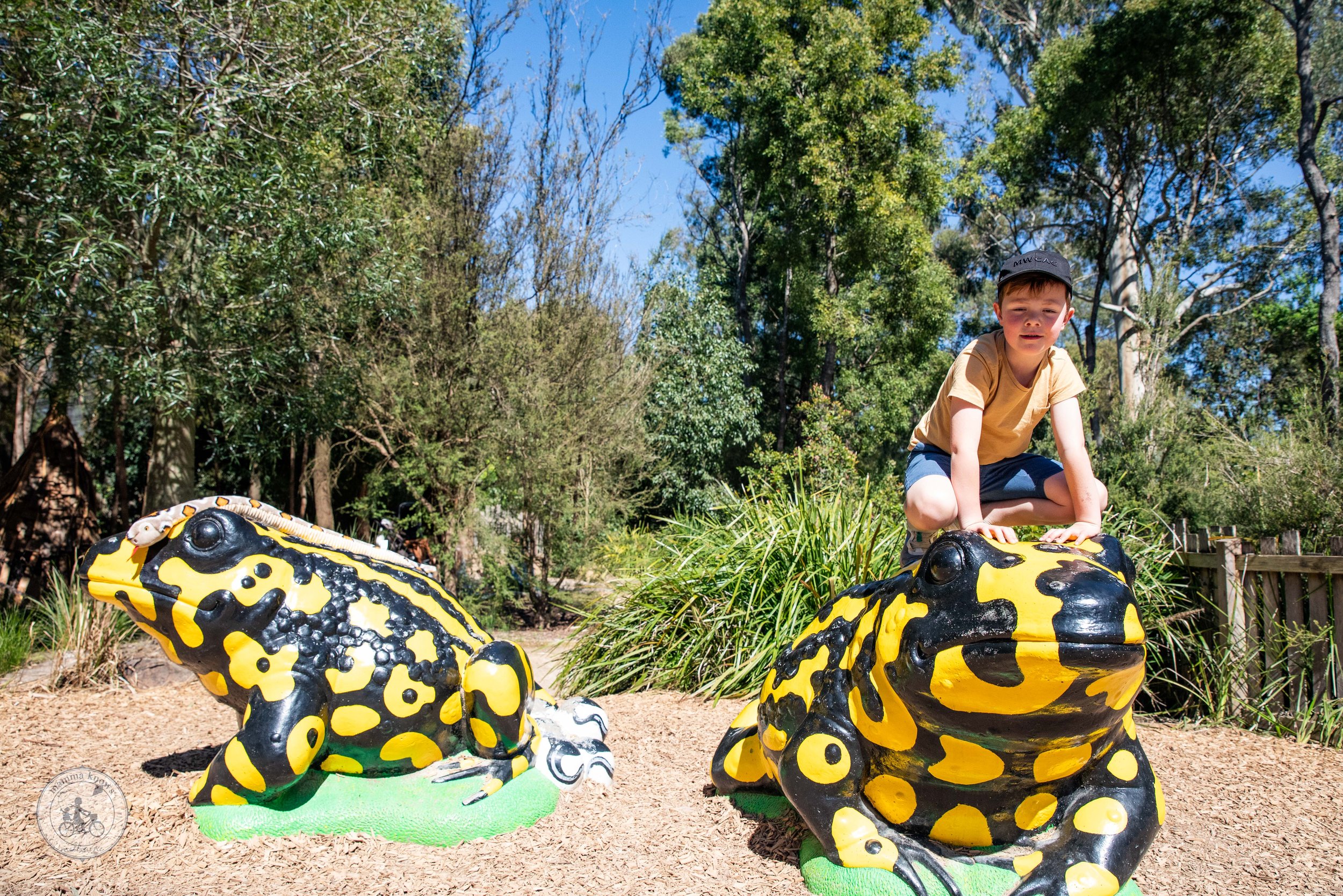 Copyright Mamma Knows East - Healesville Sanctuary 2023-7961.jpg