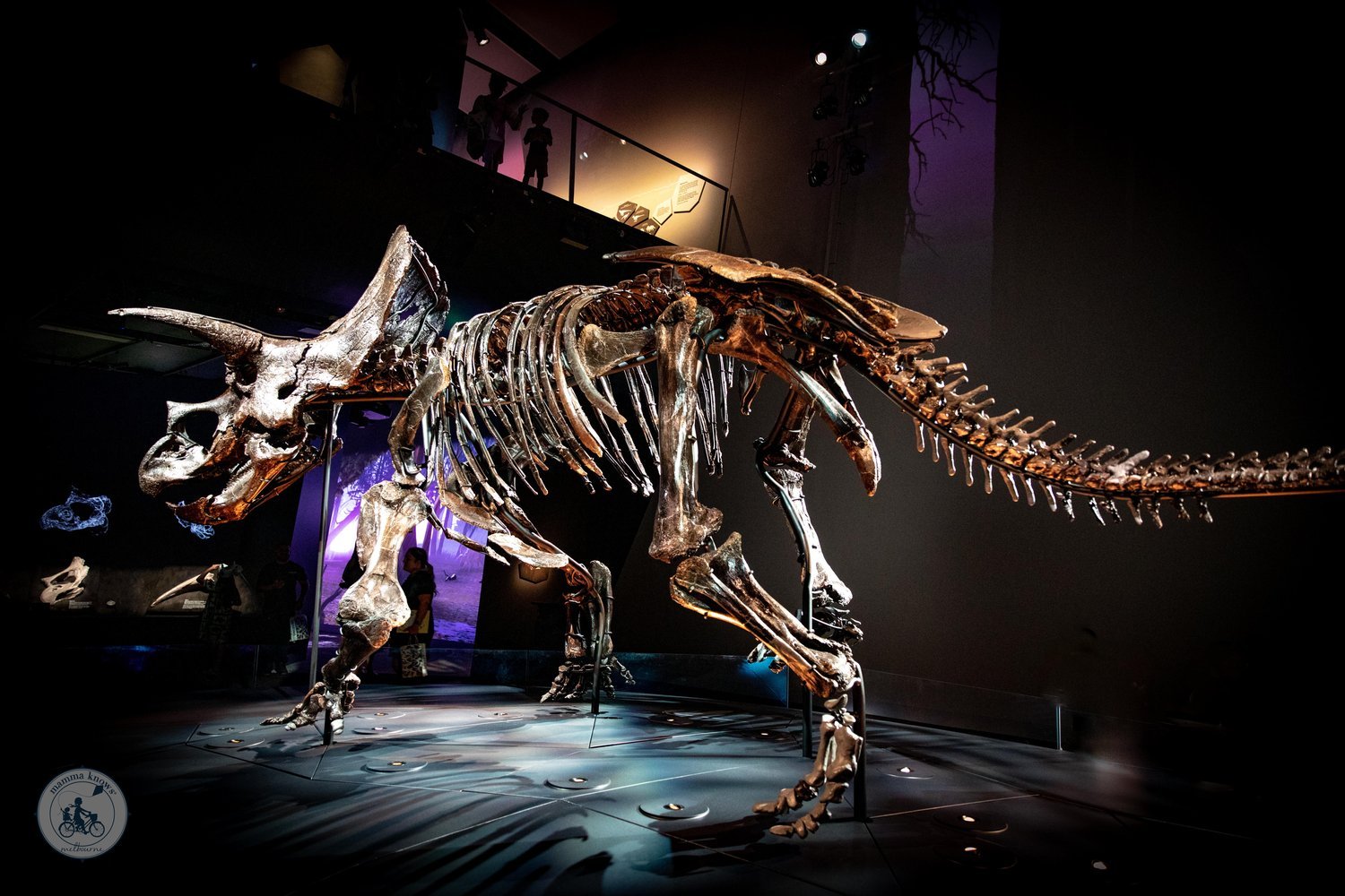 School Holidays at Melbourne Museum