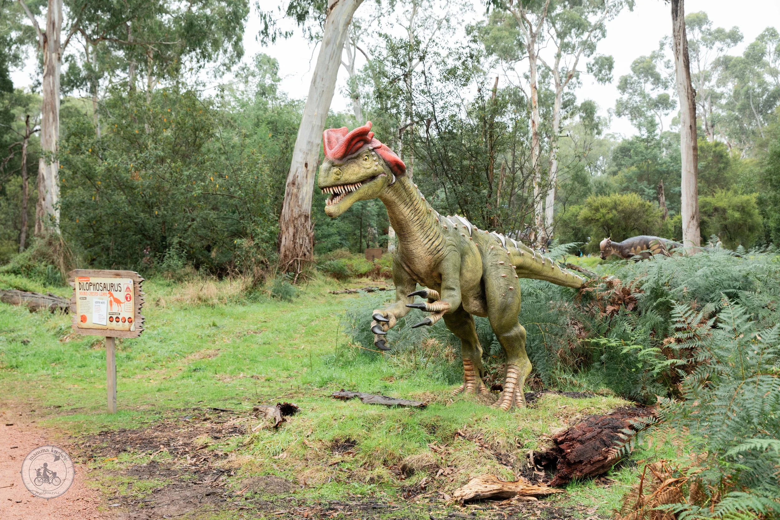 Copyright Mamma Knows East - Dinos at the zoo - Lost Sanctuary-3128.jpg