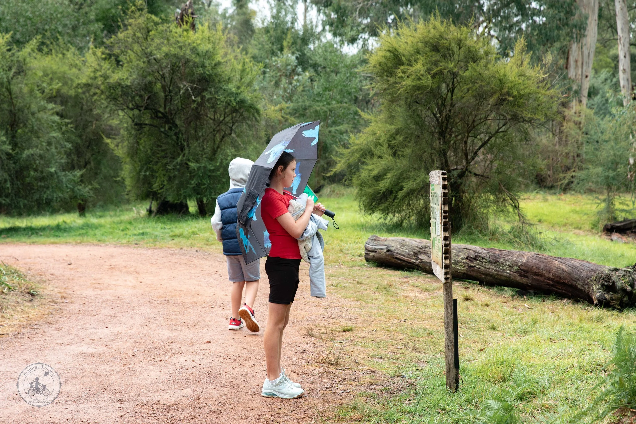 Copyright Mamma Knows East - Dinos at the zoo - Lost Sanctuary-3148.jpg