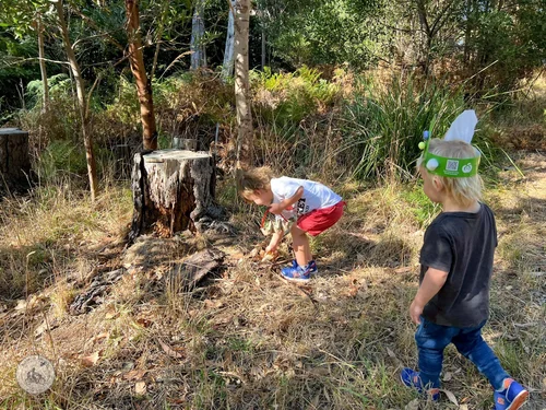 little earthlings nature play