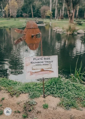 buxton salmon and trout farm