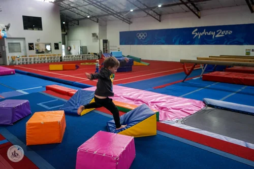 playgym @ trident gymnastics