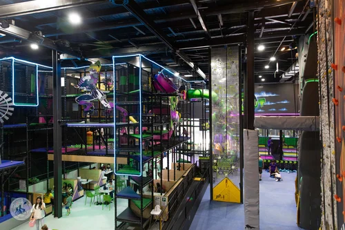 flip out @ knox ozone