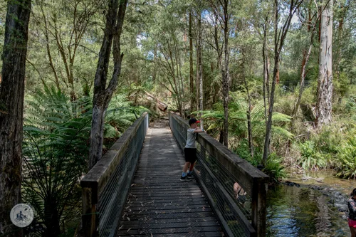 upper yarra reservoir park