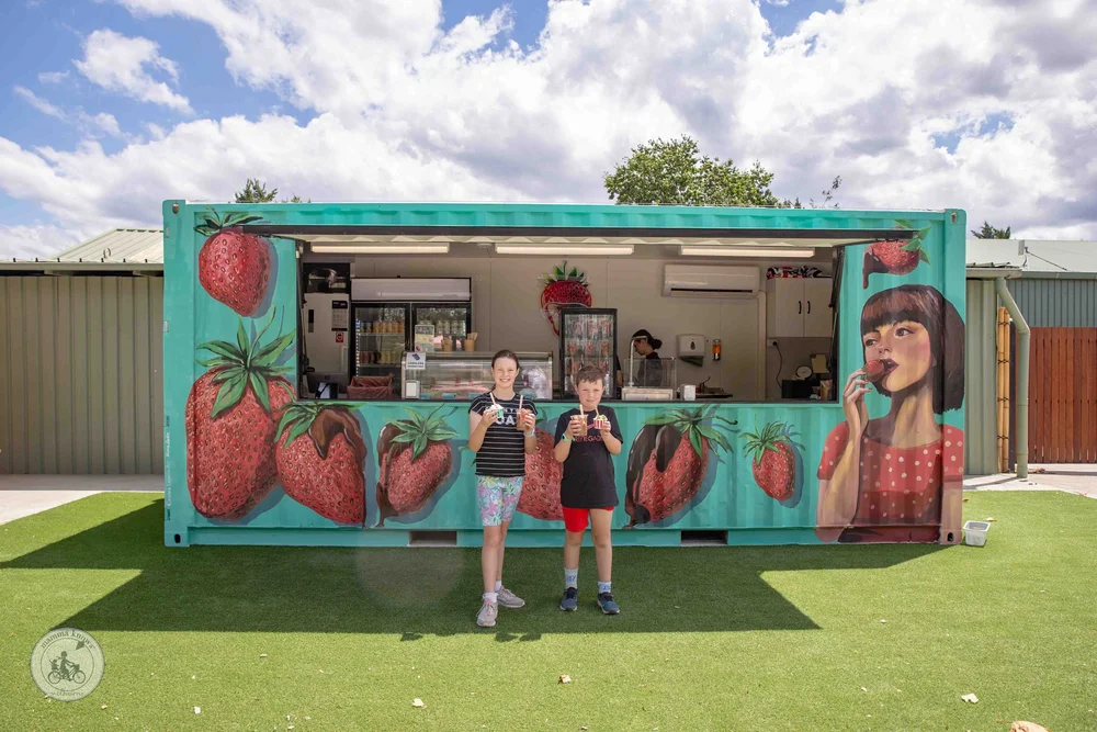 the berry box - yarra valley
