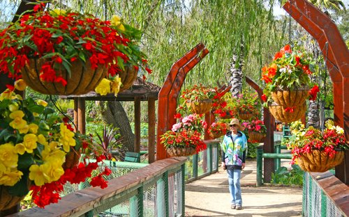 school holidays @ blue lotus water garden