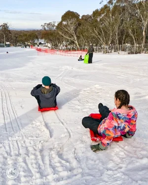 peashooter toboggan slope - snow factory