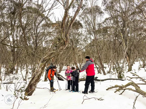 snow shoeing with traverse hotham