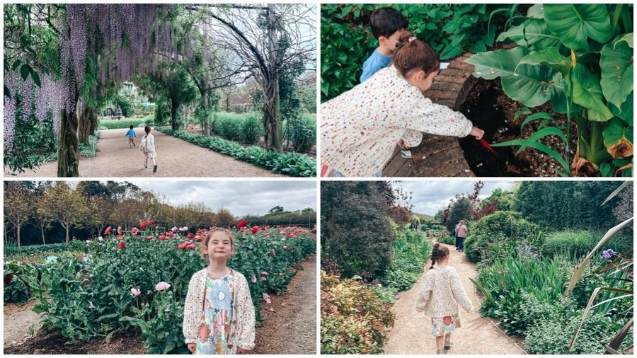 alowyn gardens, yarra glen