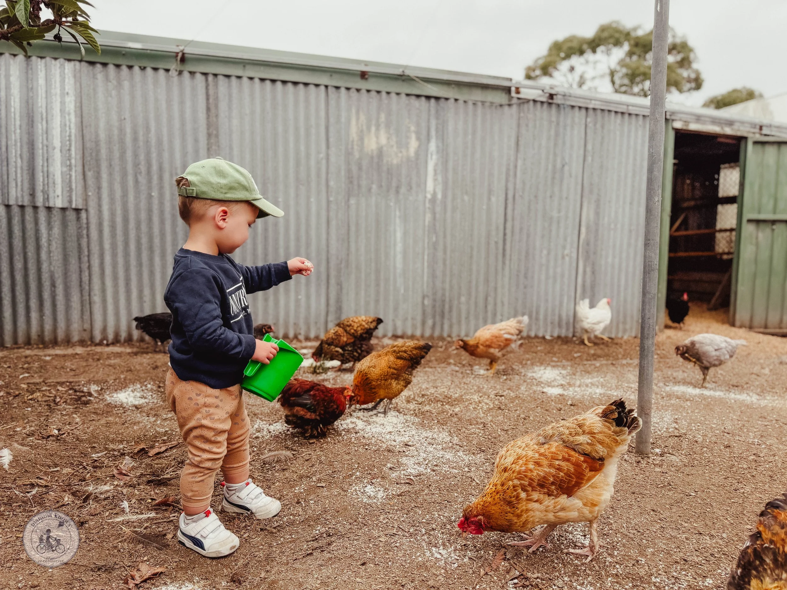 Little Farm Plays, Pakenham