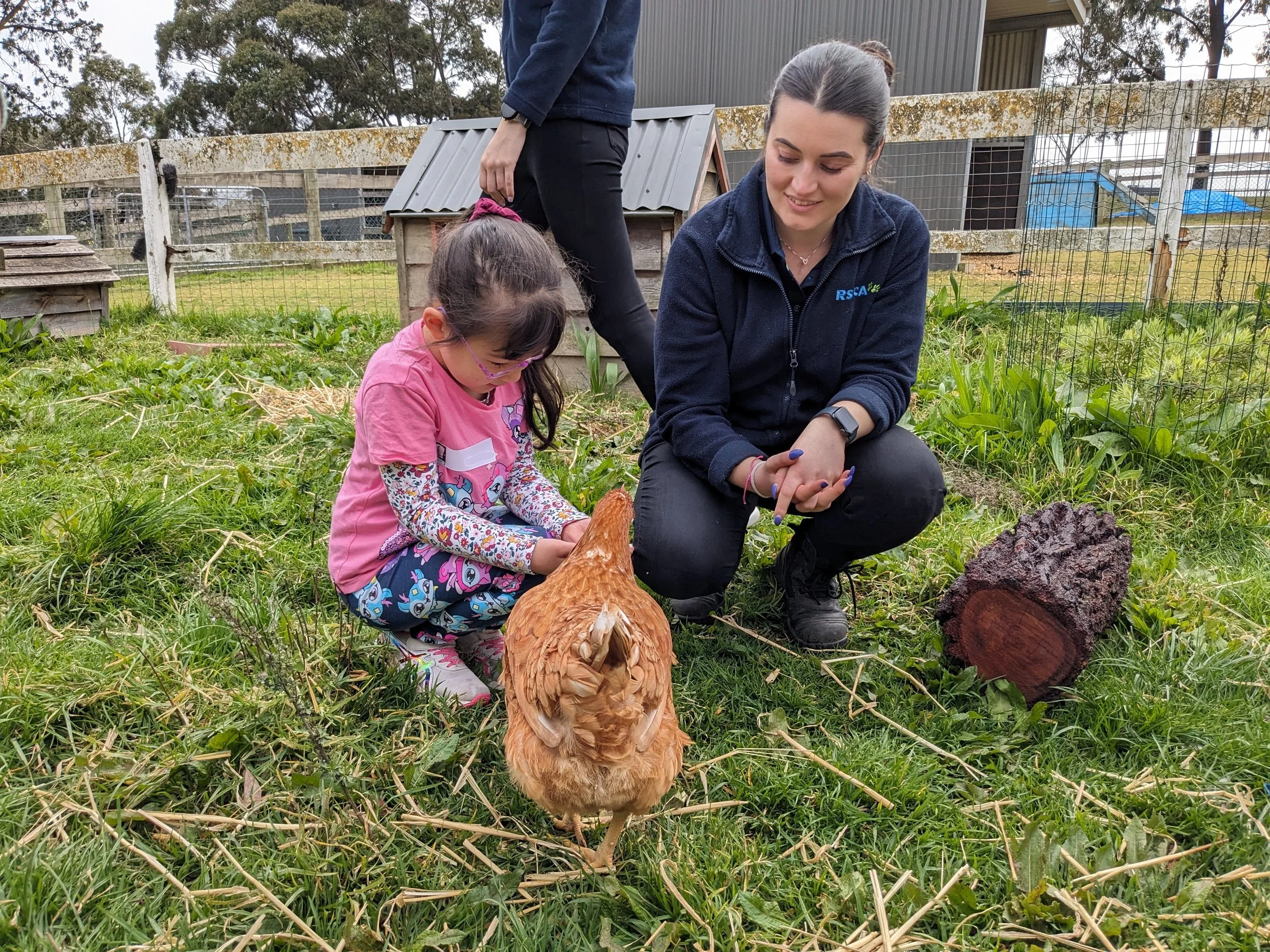 RSPCA School Holiday Program