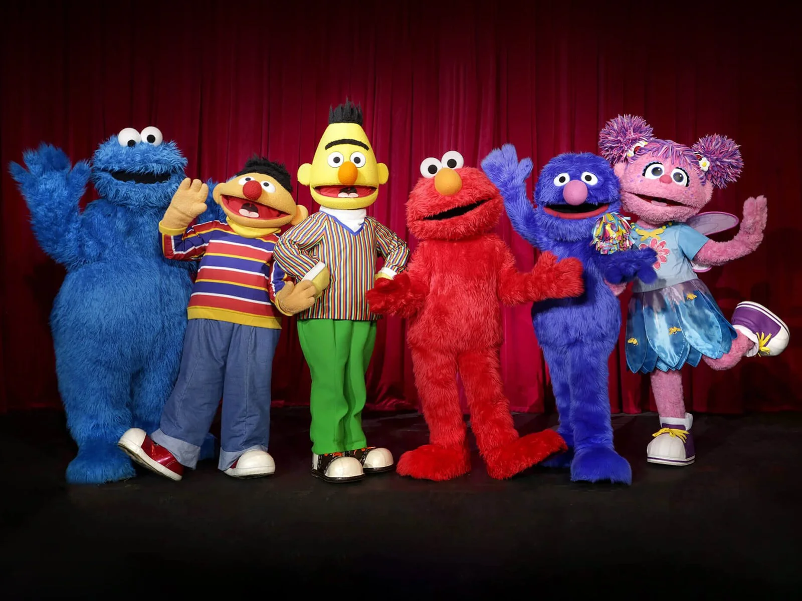 Elmo's Circus Dream Bayswater