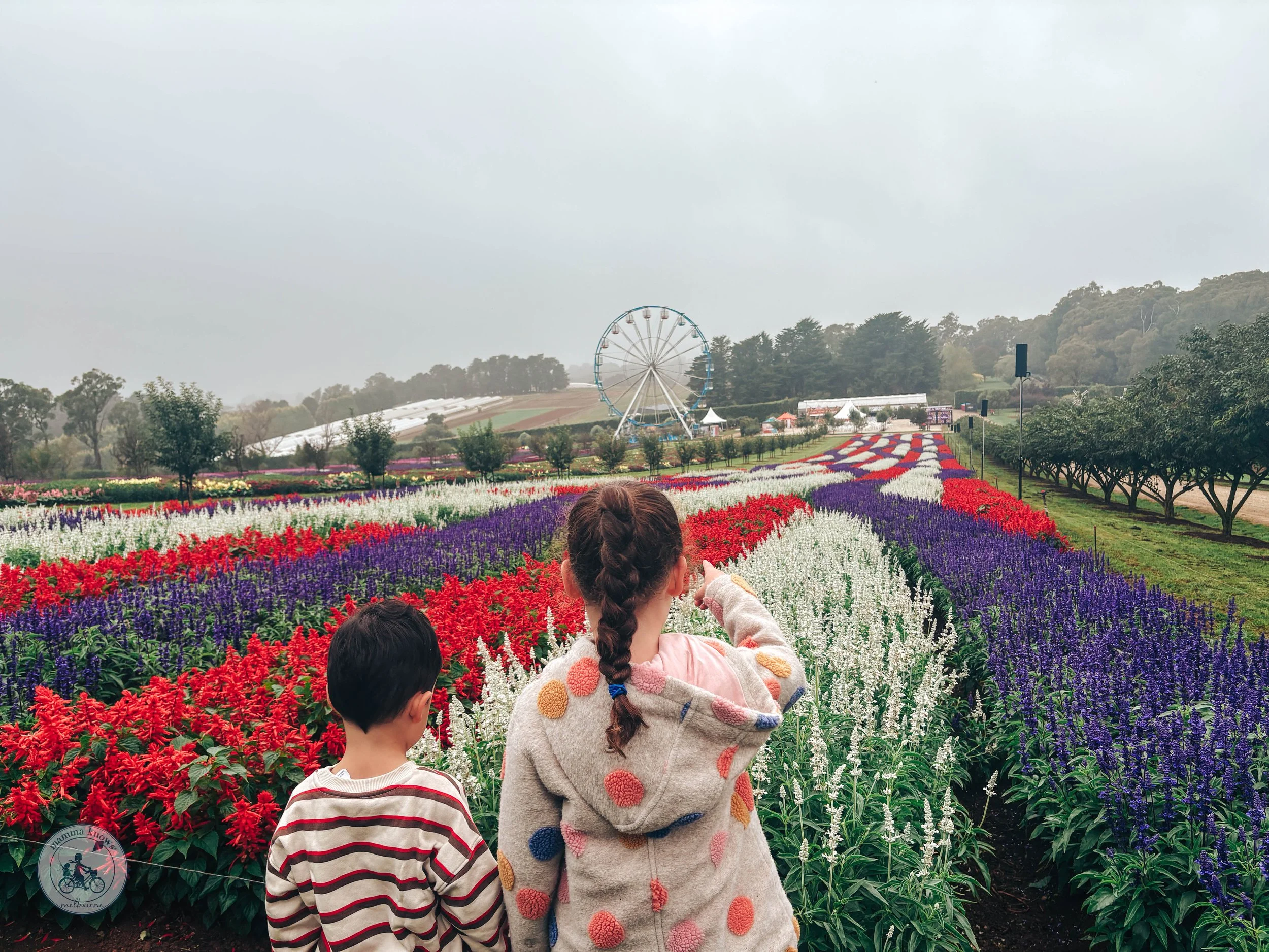 Tesselaar Kabloom Festival of Flowers, Silvan