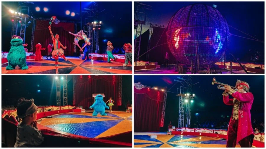 elmo's circus dream, bayswater north