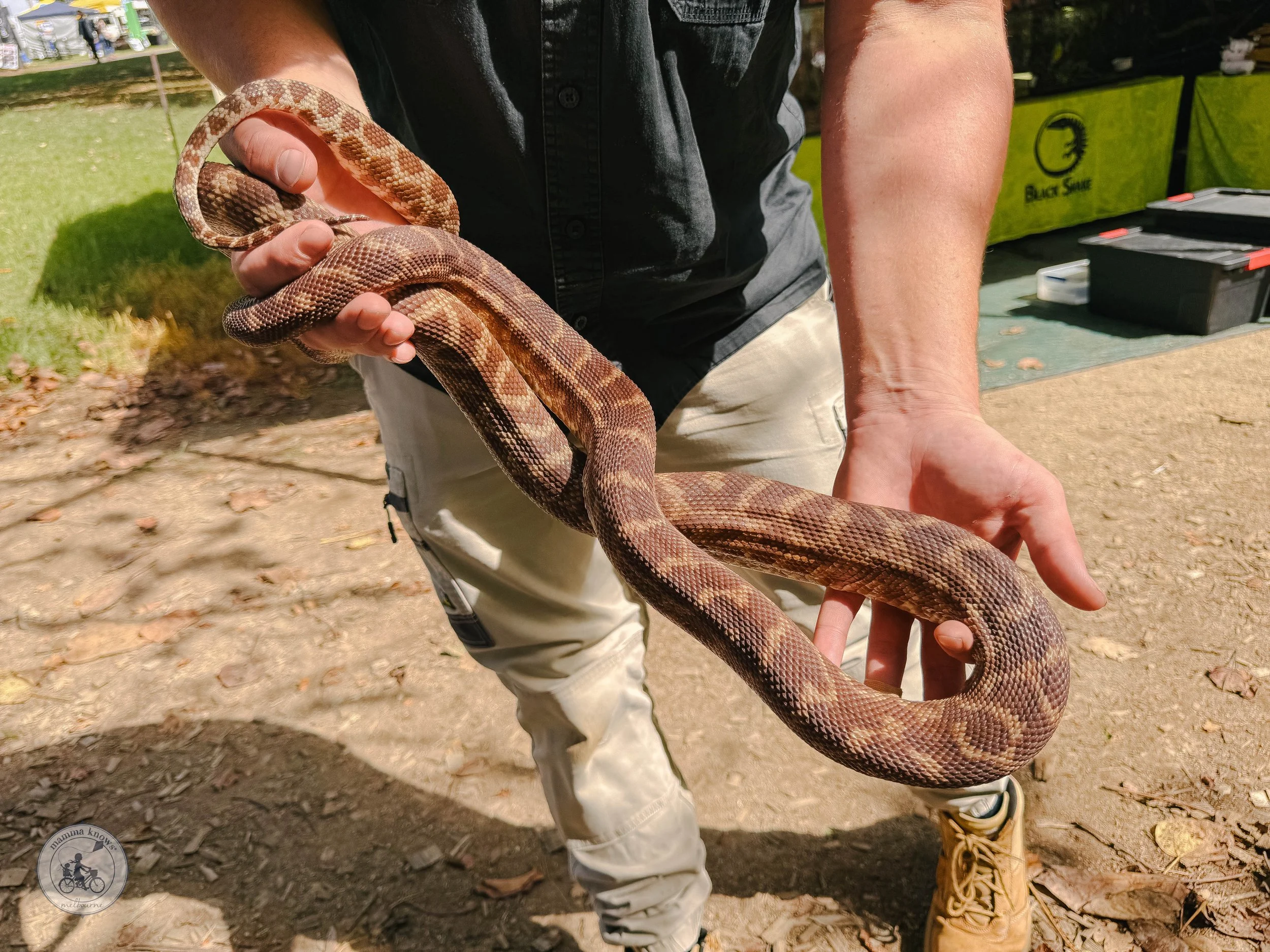 Copyright Mamma Knows East - Farm World @ Lardner Park, Drouin
