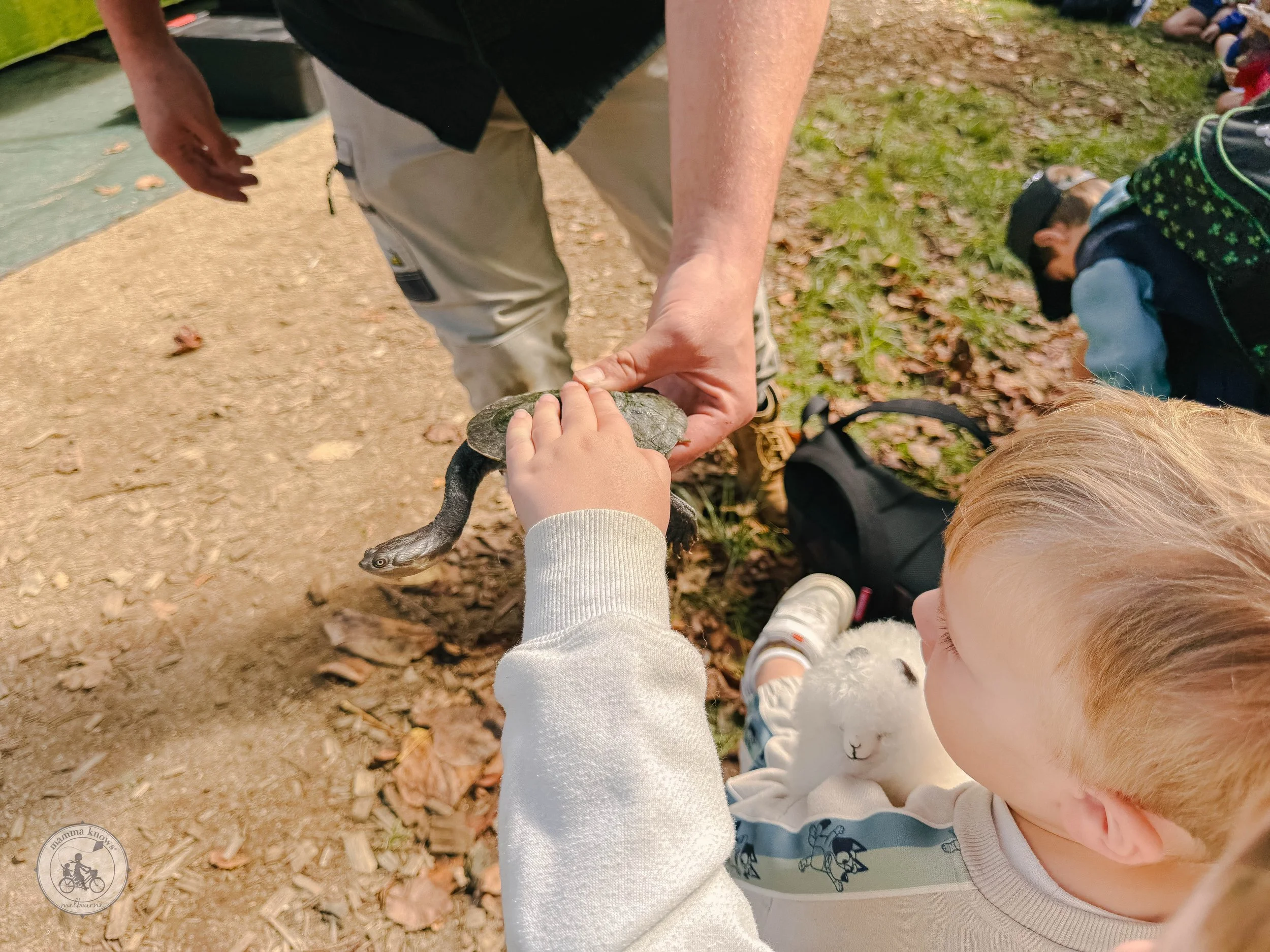 Copyright Mamma Knows East - Farm World @ Lardner Park, Drouin