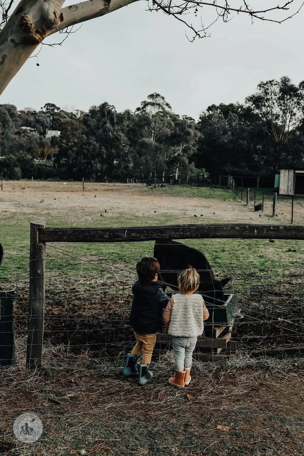 Edendale Farm, Eltham