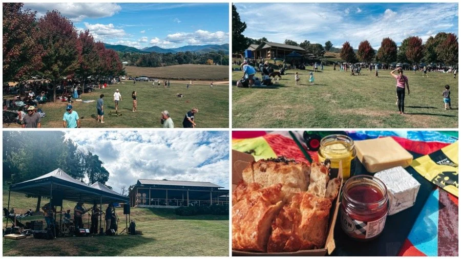 ringer reef winery, porepunkah