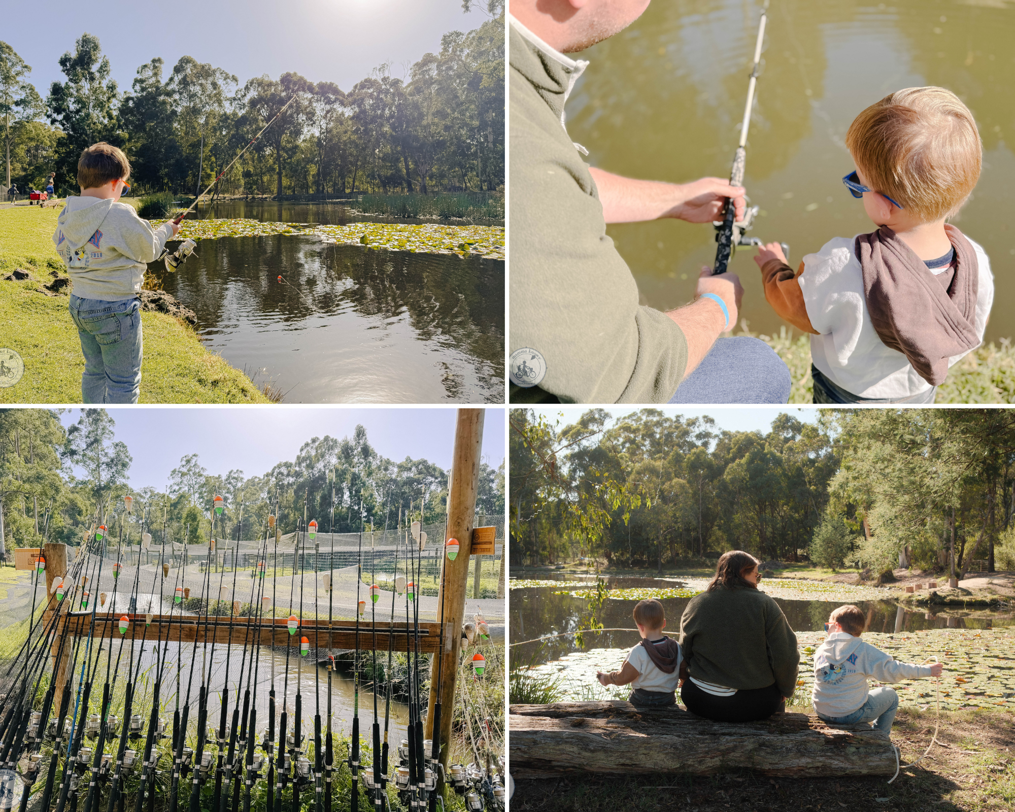 australian rainbow trout farm, macclesfield