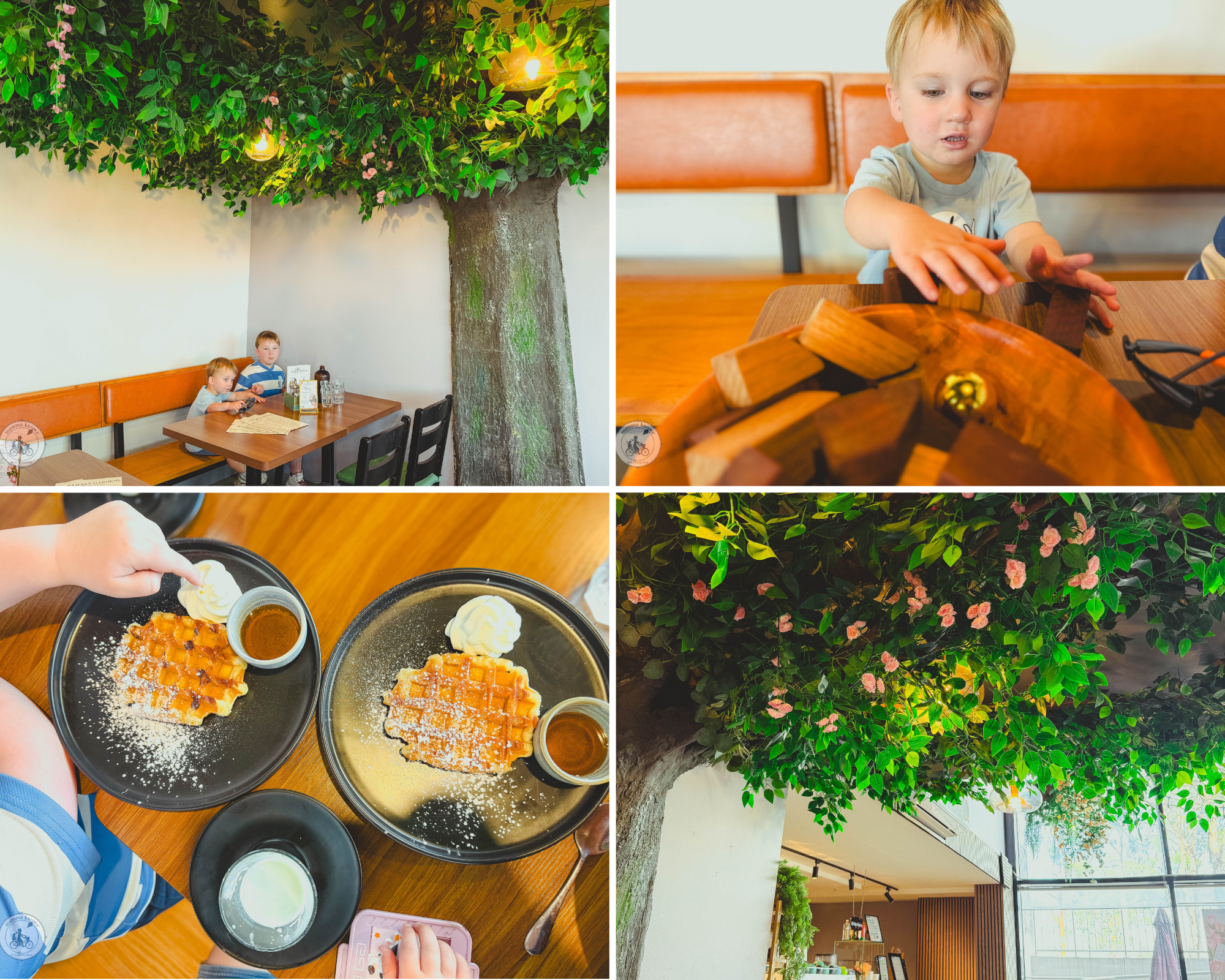 ramsay gardens cafe, vermont south