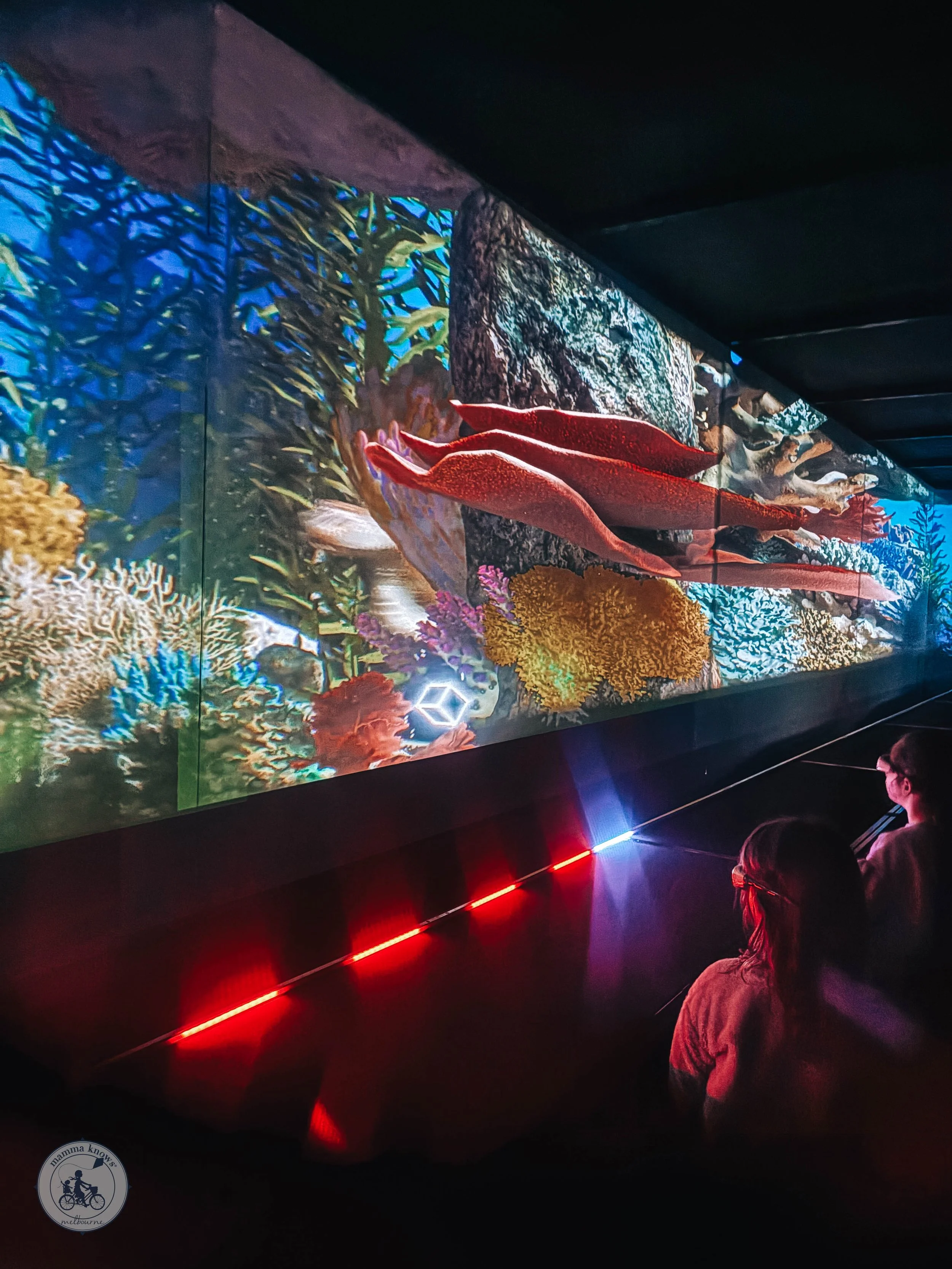 Hologram Zoo, Ringwood