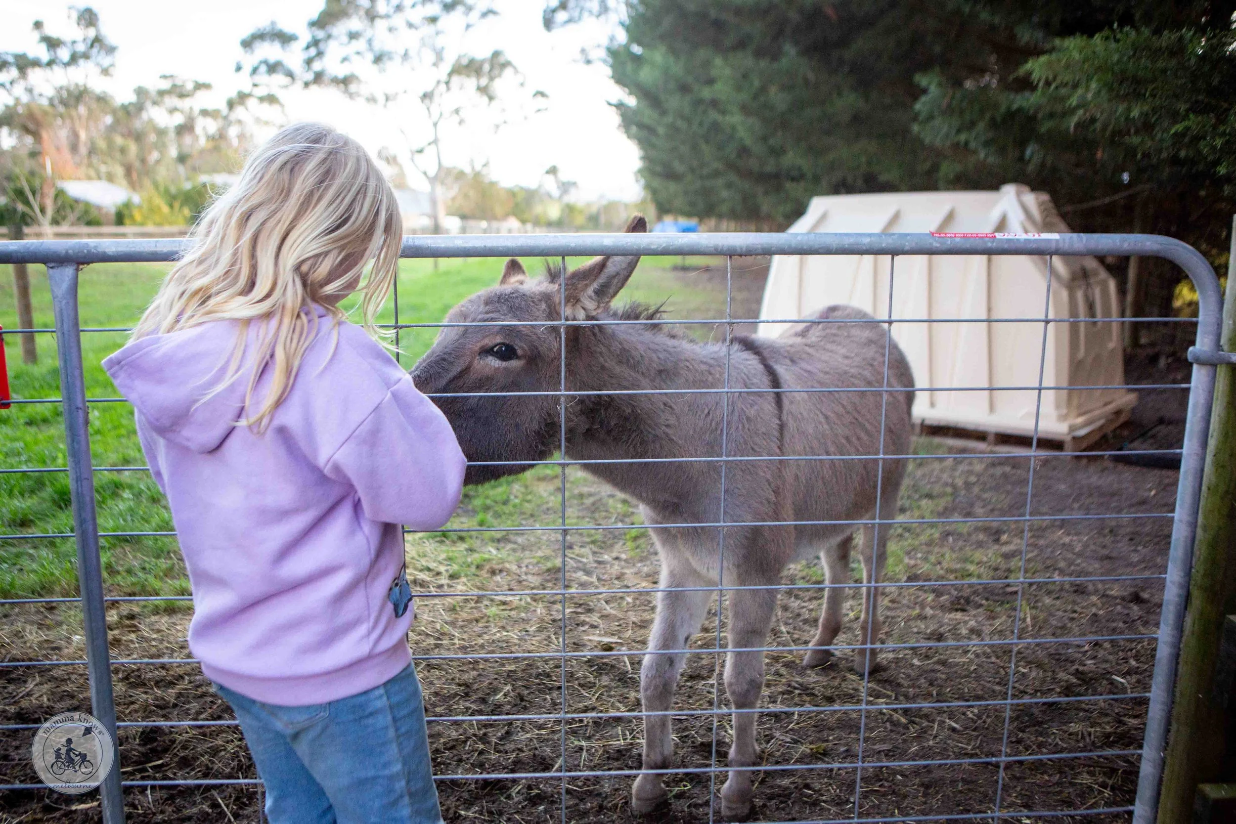 Copyright Mamma Knows East - Little Sherwood Petting Zoo, Drouin