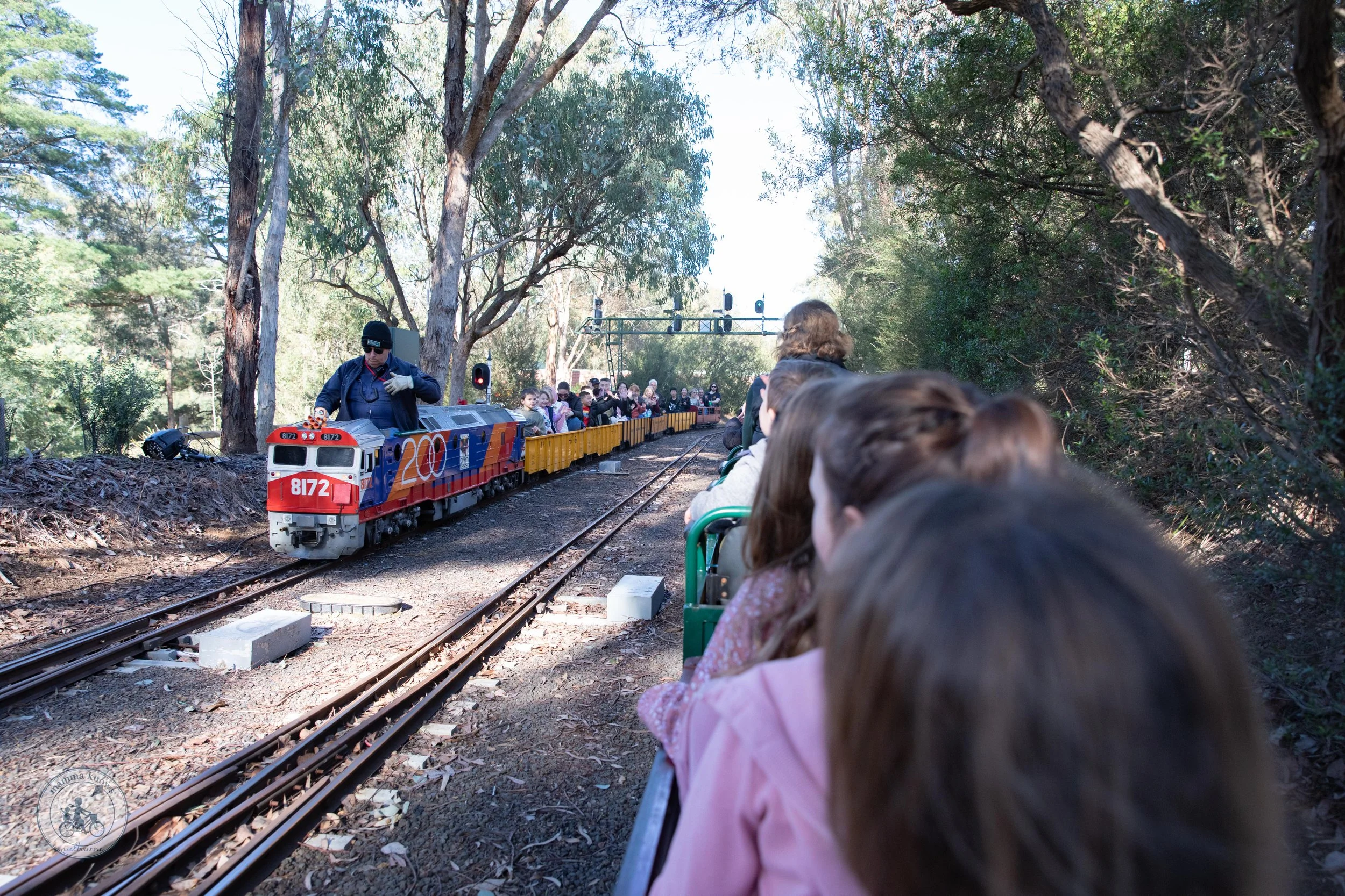 Diamond Valley Railway