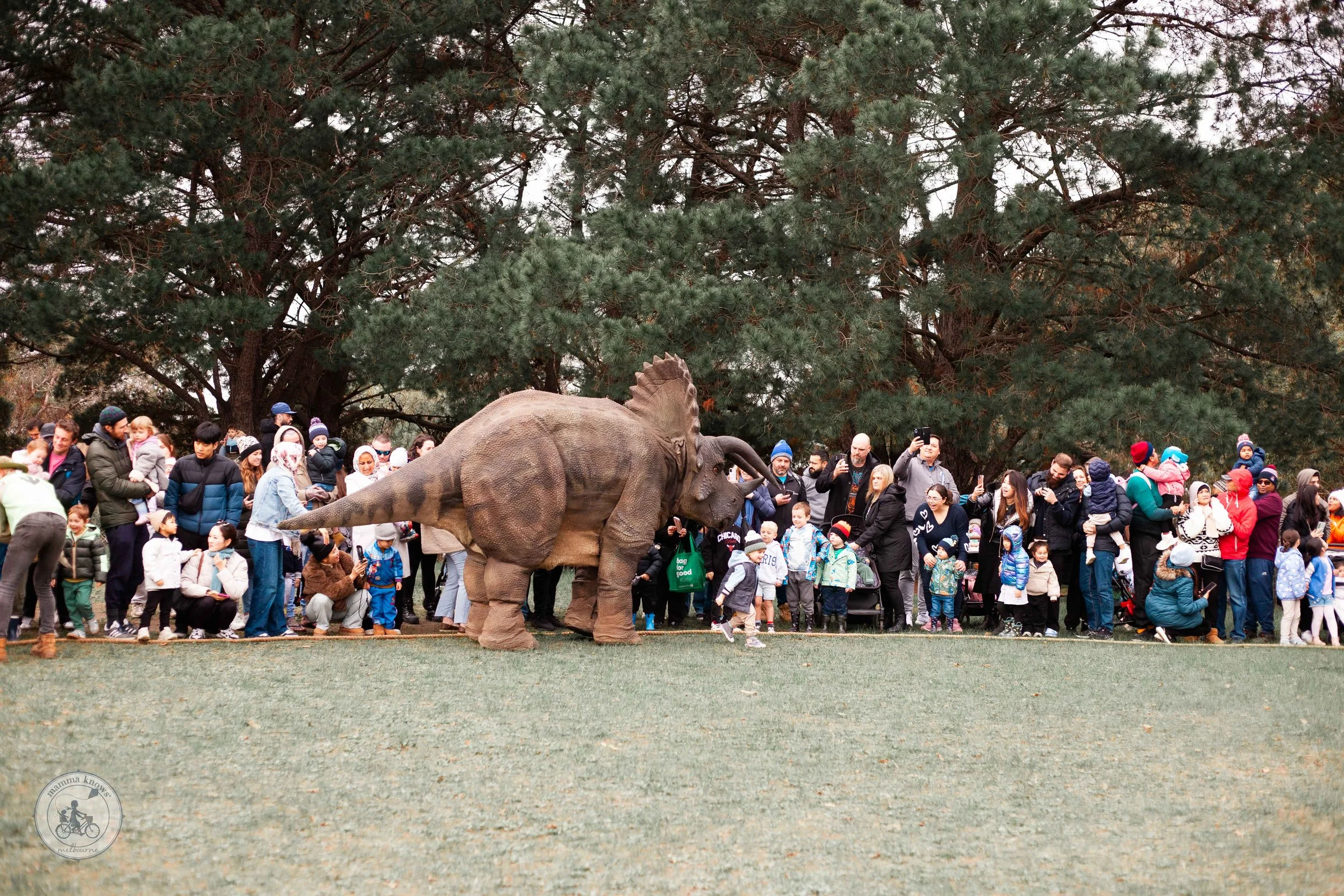 dinofest, wantirna south